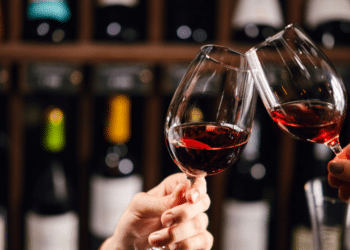 Exploring California Wine Country | CA Gazette