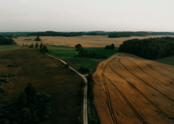 Agriculture Business and Trends in the Central Valley | CA Gazette