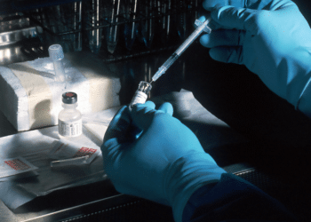 The Role of California in Biotechnology and Life Sciences | CA Gazette