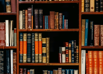 The Landscape of Personal Injury Law: Chris Jackman Attorney Dissects Trends and Opportunities