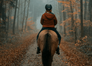 Exploring Equestrian Events and Prestigious Horse Racing in Southern California | CA Gazette