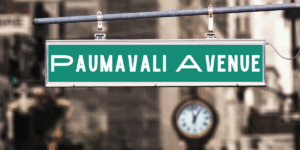 Paumavali: A Canvas of Wearable Art for Creative Expression