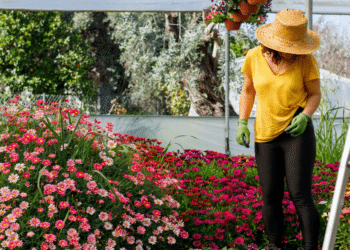 Unleashing Your Potential: Opportunities in Agribusiness Entrepreneurship