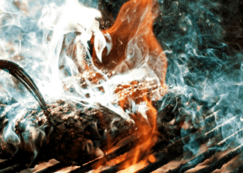 Essential Tips for a Perfect Summer BBQ