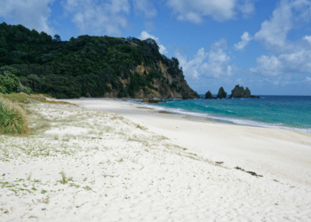 Exploring the Treasures of New Zealand's North Island