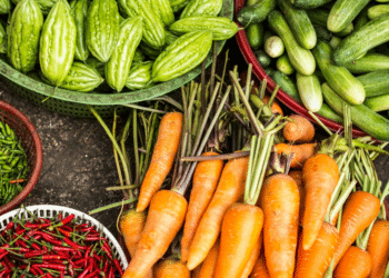 Advancing Change- Food Empowerment Project’s Shift to Collective Leadership