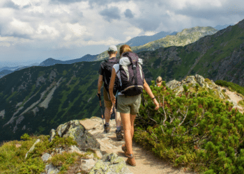 How Regular Hiking Transforms Mind and Body