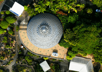 Outdoor Adventures: What to Do in Brisbane, Australia