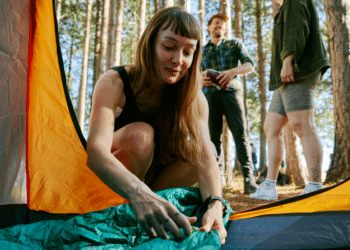 Explore the Wonders of Redwood National and State Parks This Summer