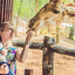 Family-Friendly Events: California State Fair and San Diego Zoo