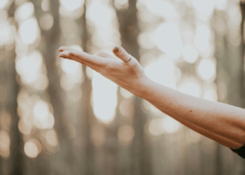 A New Era in Thyroid Wellness- The Pompa Program's Holistic Approach