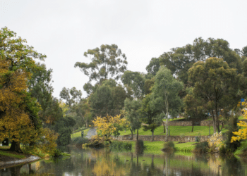 Hidden Gems Places to Visit in Adelaide, Australia