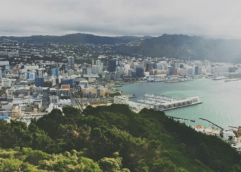Outdoor Adventure in Wellington: Activities You Need to Try