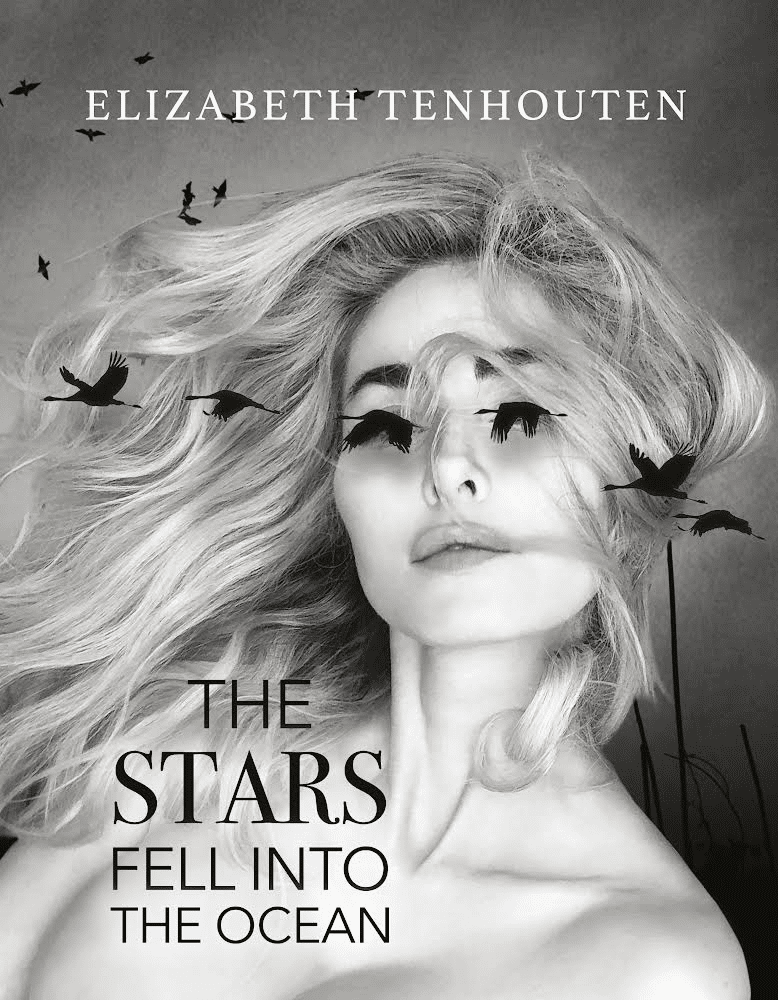 Poet Elizabeth TenHouten Finds the Beauty in Love and Heartbreak in the Poetry Collection “The Stars Fell into the Ocean”