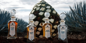 Purity of AgaveLuz Organic Tequila Fresh, Clean, Pure and Additive-Free