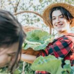 Fall Farmers Markets in California: Where to Find Fresh Produce This Season