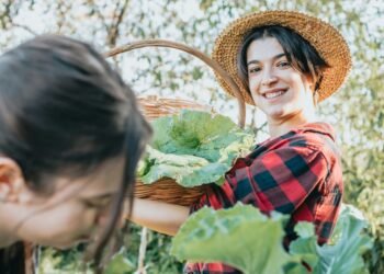 Fall Farmers Markets in California: Where to Find Fresh Produce This Season