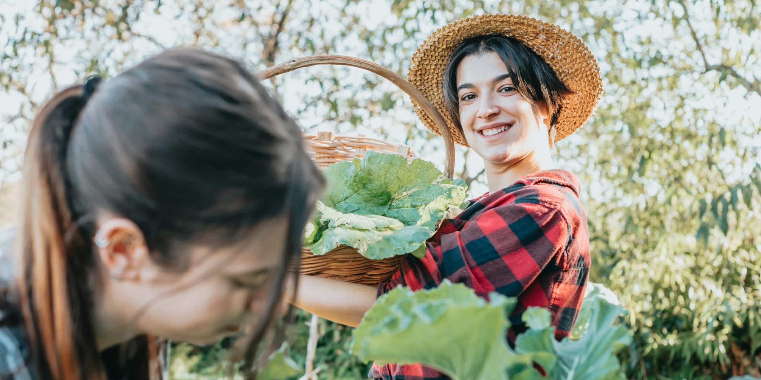 Fall Farmers Markets in California: Where to Find Fresh Produce This Season