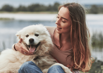 Bark at the Park: A Fun-Filled Event for Dog Lovers in The Presidio