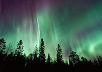 Northern Lights in California: Can You Really See the Aurora Borealis?