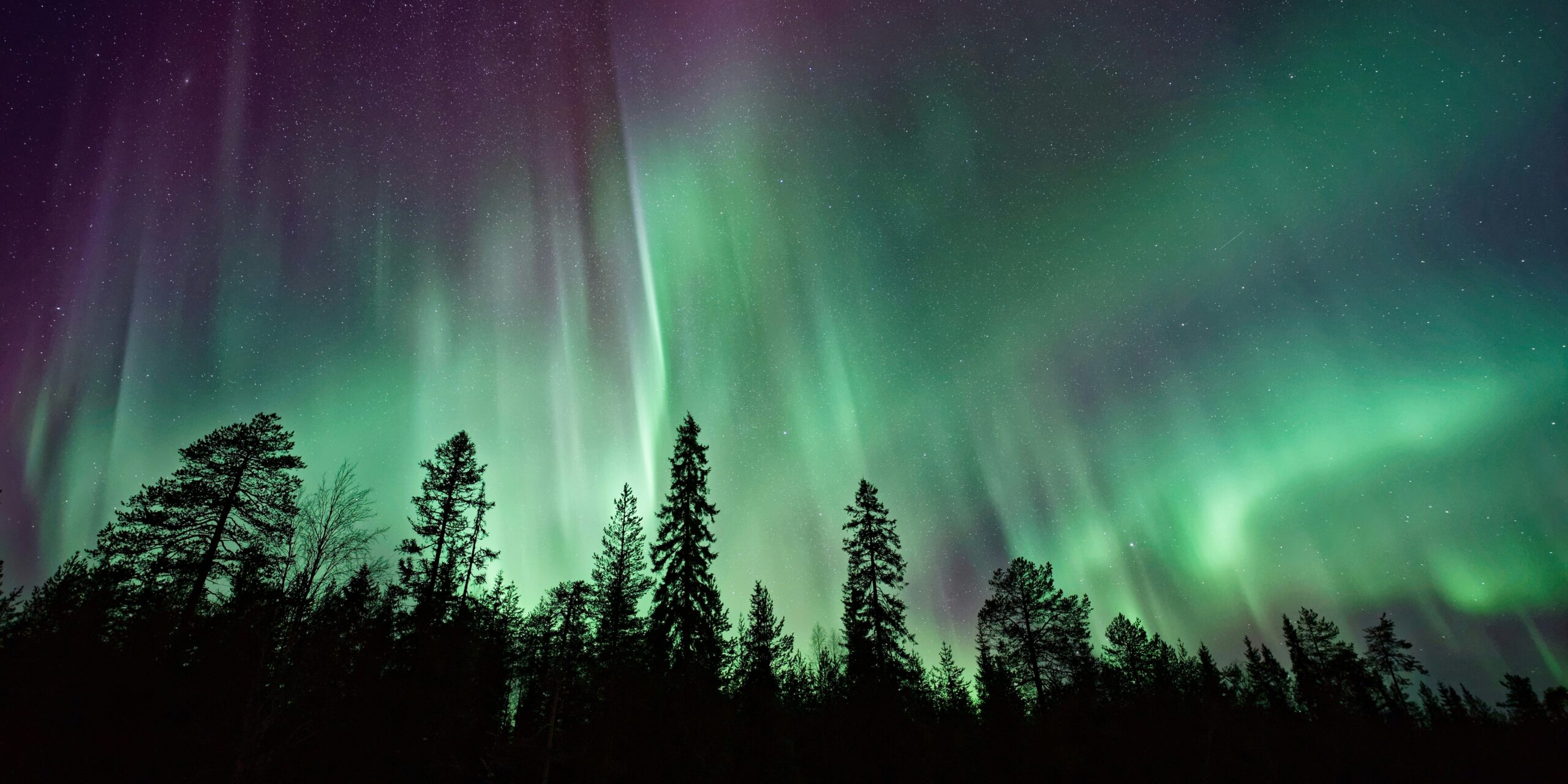 Northern Lights in California: Can You Really See the Aurora Borealis?