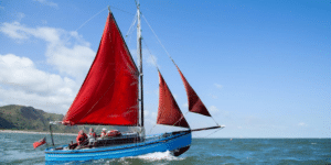 Donald Zammit: Discover Sailing Destinations in Florida's Coastline