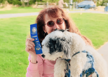 The Impact of Therapy Dog Teams in Schools An Eye-Opening Journey with Gabrielle Matthew’s Guide