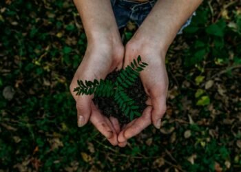Lead with Impact: Sustainable Network Marketing