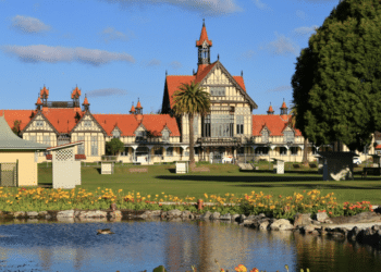 A Road Trip Guide to Exploring New Zealand’s North Island