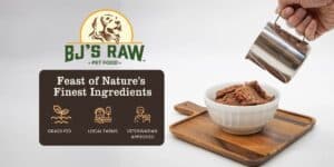 Why BJ’s Raw Pet Food Could Be a Great Natural Choice for Your Pet’s Health