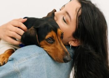 Revolutionizing Canine Wellness: Unveiling the Pinnacle of Holistic Dog Health Formulas