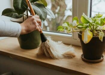 Transform Your Home with These Easy Decluttering Tips - 1