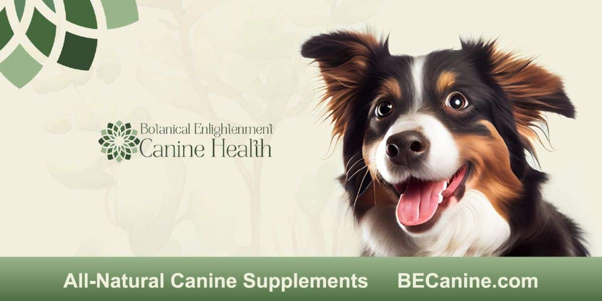 Revolutionizing Canine Wellness: Unveiling the Pinnacle of Holistic Dog Health Formulas