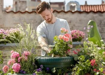 How Plants and Landscaping Improve Your Home’s Environment