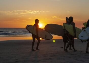 Surf Culture’s Influence on California’s Sports Identity