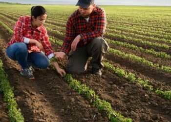 Why California's Farmland Is More Valuable Than Gold