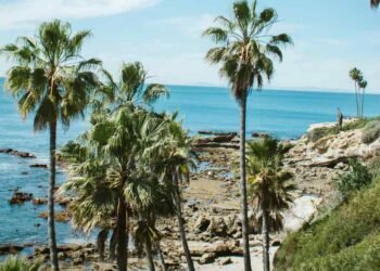 Exploring Laguna Beach: Coastal Trails and Marine Life Areas