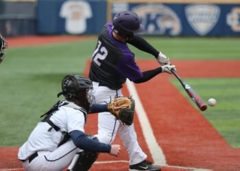 Veteran Leadership’s Influence in Professional Baseball