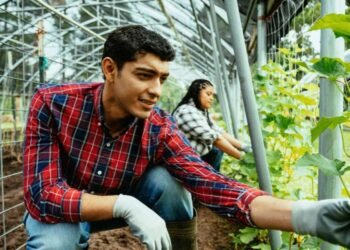 What Does a Circular Economy Mean for Consumers and Businesses?