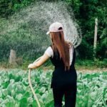 Water Restrictions Impact Agricultural Operations in California
