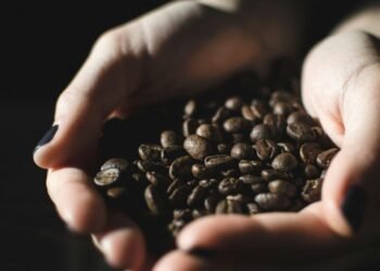 Mauro Illiano and the Role of Cultural Advocacy in Italy’s International Coffee Diplomacy
