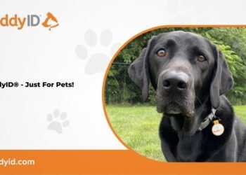 BuddyID® Enhancing Pet Protection with Smart Technology and Lifelong Support