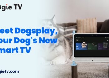 DogieTV: Shaping Pet Care with the Dogsplay Pet Media Box