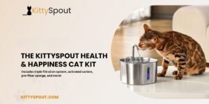 KittySpout Revolutionizing Cat Hydration for Health and Happiness