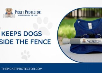 Picket Protector: Granting Freedom and Peace of Mind, One Backyard at a Time
