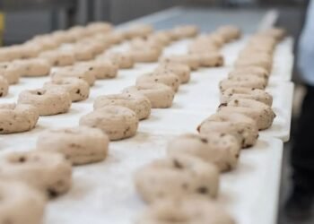 Western Bagel: An Ideal Grab-and-Go for a Southern California Summer