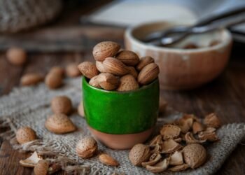 Almond Empire How California's Central Valley Became a Global Powerhouse