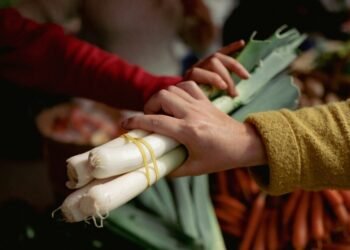 Central Valley Pushes Agricultural Innovation Hub