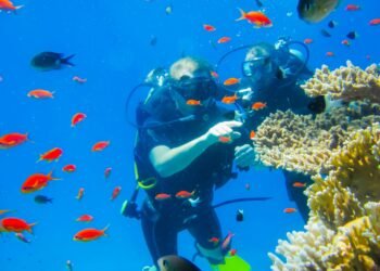 California Commits $87 Million to Restore Salmon and Steelhead Habitat