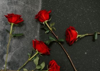 Cleto Escobedo III's Death Marks End of an Era on Late-Night TV